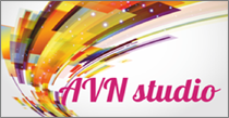 AVN Studio